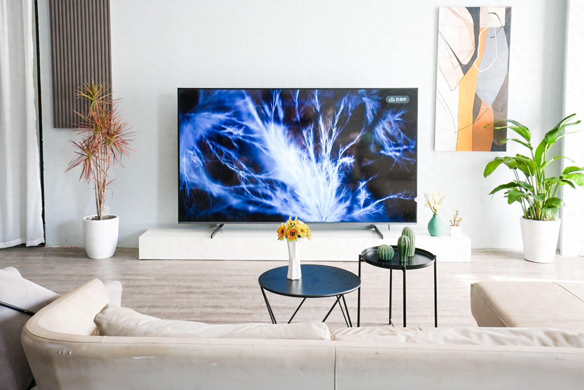 2024年最建议买的四款高性价比电视机